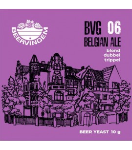 Дрожжи Beervingem Belgian Ale BVG-06 10 г