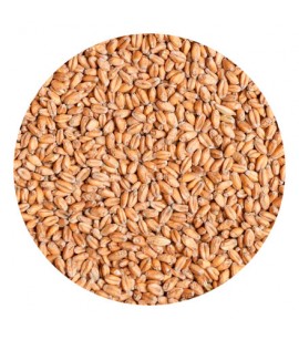 Солод Пшеничный Вит Бланк (Wheat Blanc) Castle Malting, Бельгия 1 кг