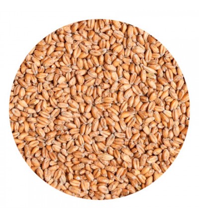 Солод Пшеничный Вит Бланк (Wheat Blanc) Castle Malting, Бельгия 1 кг